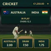 Vulkan Vegas - Cricket Betting - Sports Betting